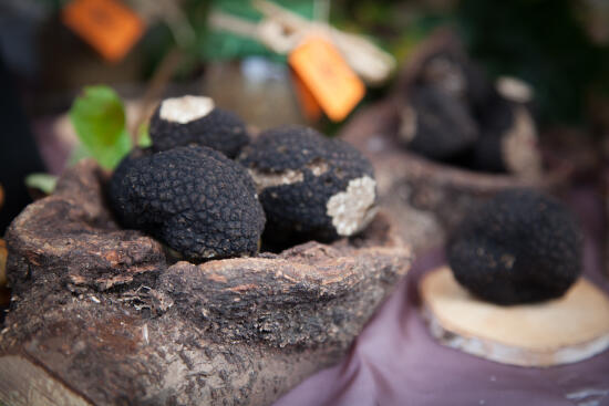 Marché aux Truffes de Bonvillars