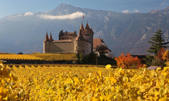 Château d’Aigle et Musée de la Vigne, du Vin et de l'étiquette