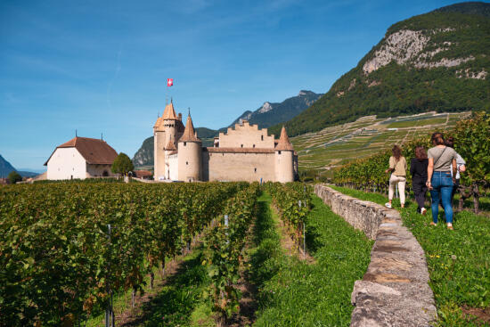 Château d’Aigle et Musée de la Vigne, du Vin et de l'étiquette