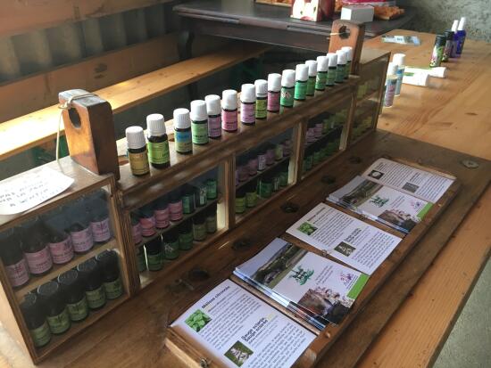 Destillerie von Bassins