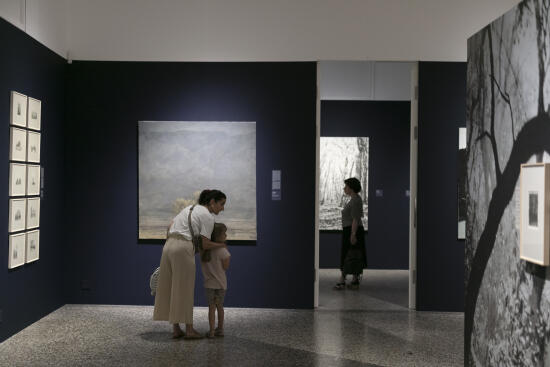 Musée Jenisch Vevey