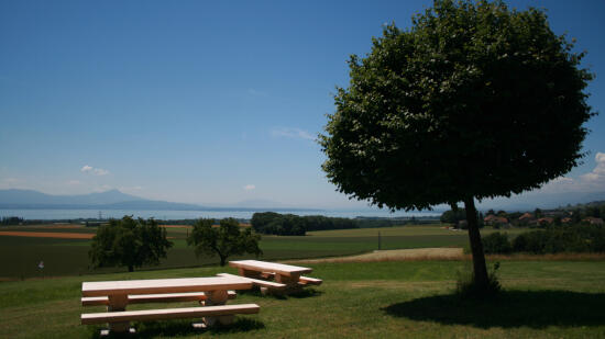 Swin-Golf Lavigny