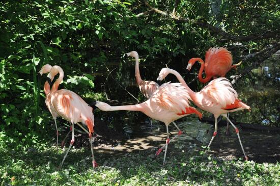 Tropiquarium de Servion