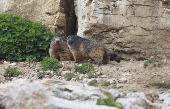 Parc animalier La Garenne