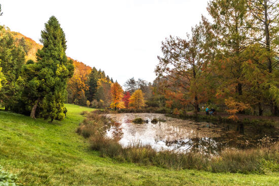 Arboretum du Vallon de l’Aubonne