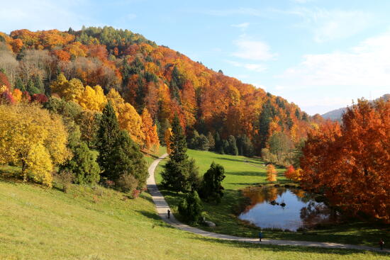 Arboretum du Vallon de l’Aubonne