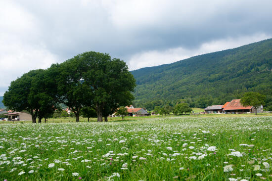 Parc Jura vaudois