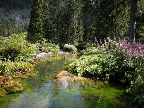 Mountain botanical garden