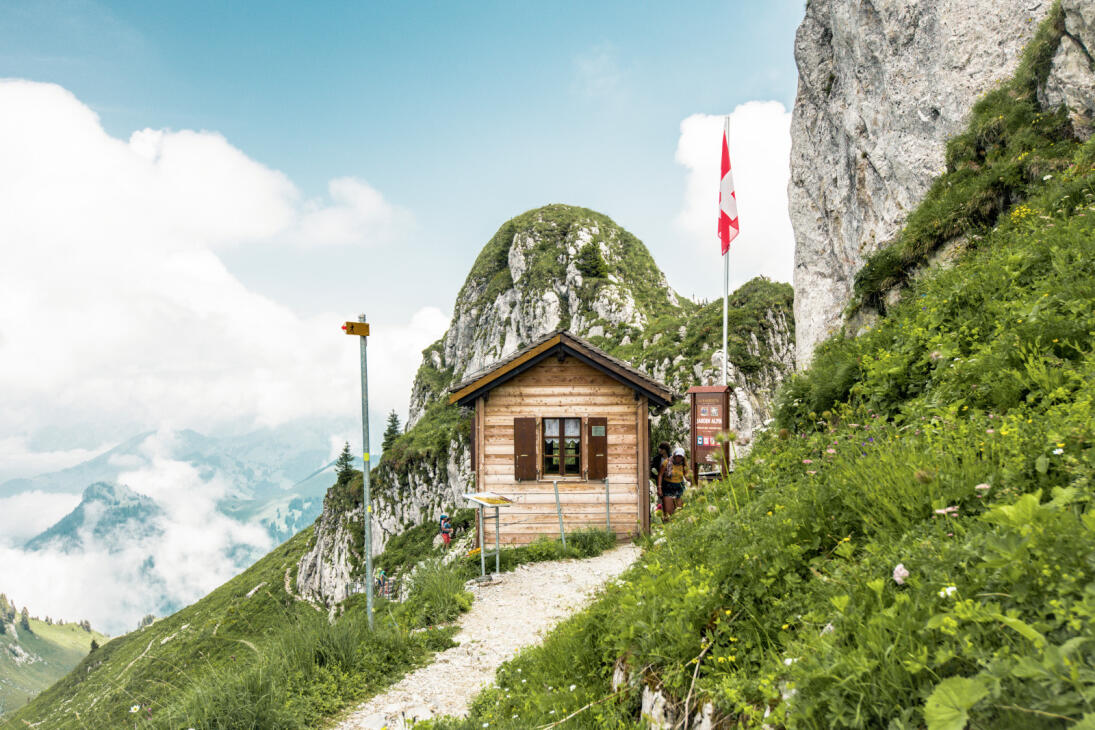 La Rambertia, jardin botanique alpin
