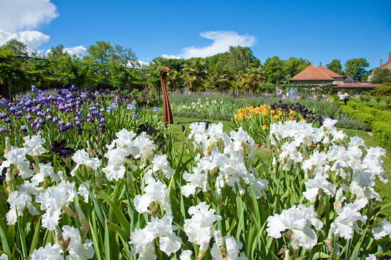Château de Vullierens