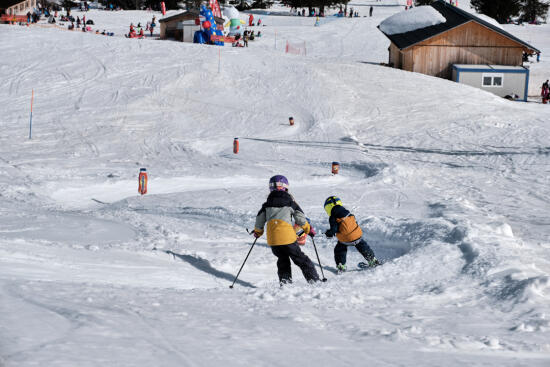 Jardin des Neiges - « Les Mosses Parc »
