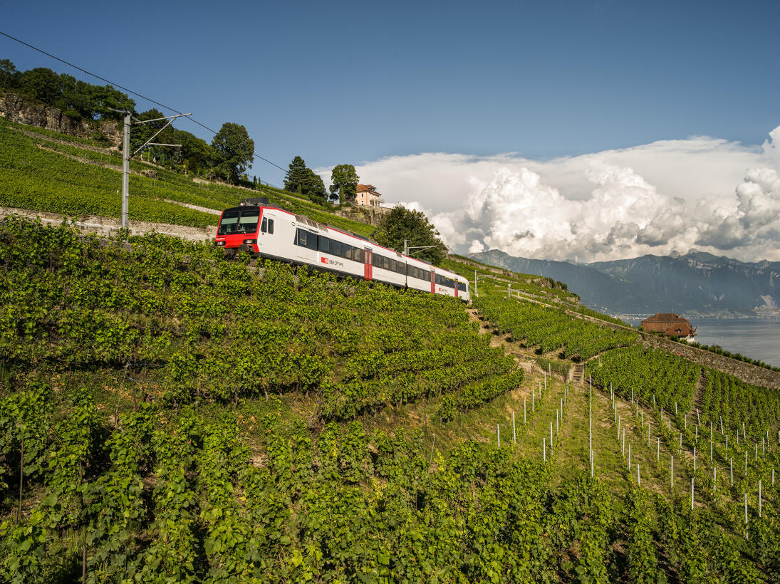 Train Vevey – Chexbres