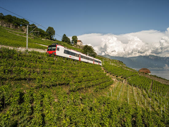 Train Vevey – Chexbres