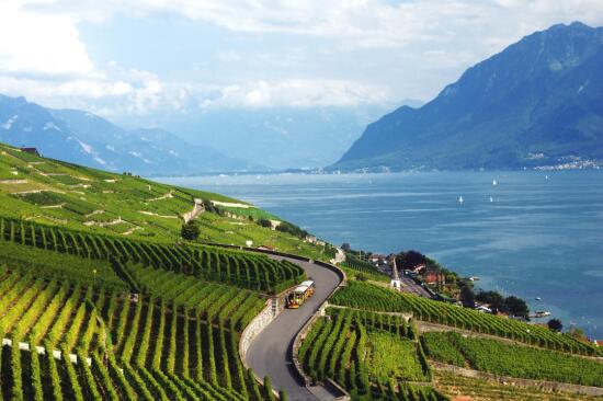 Lavaux Express
