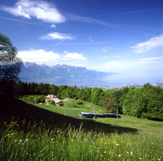 Train Vevey - les Pléiades