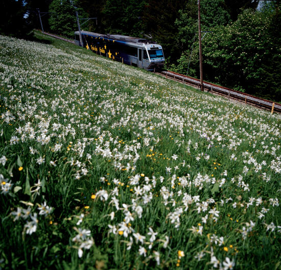 Train Vevey - les Pléiades