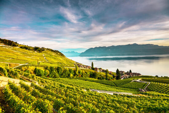 Les terrasses de Lavaux UNESCO