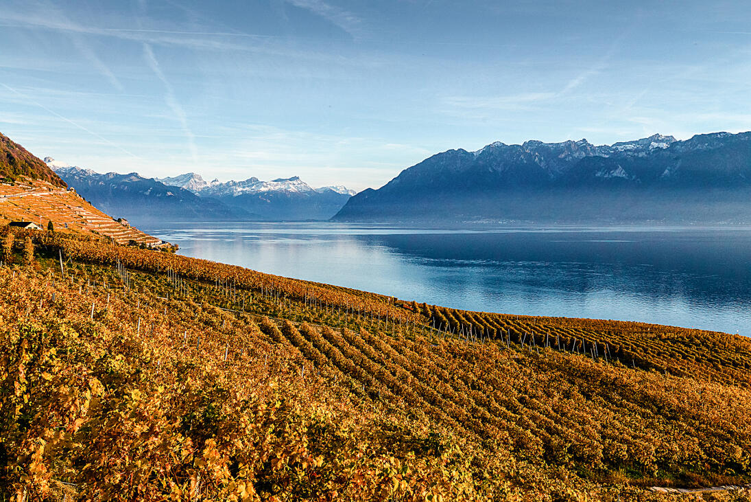 Les terrasses de Lavaux UNESCO