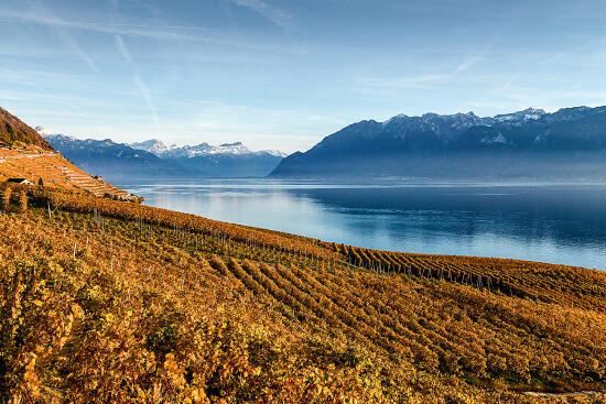 Les terrasses de Lavaux UNESCO