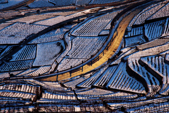 Les terrasses de Lavaux UNESCO