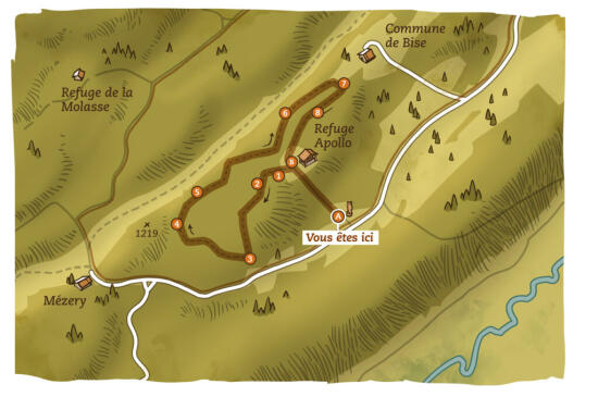 Lehrpfad "Die Bäume zwischen sichtbar und unsichtbar"