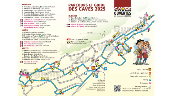 À la découverte du "Bourru" dans le vignoble