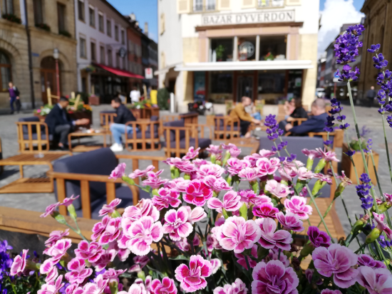 terrasse hôtel de ville