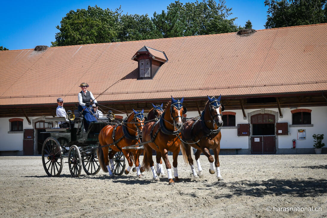 Portes ouvertes au Haras national suisse