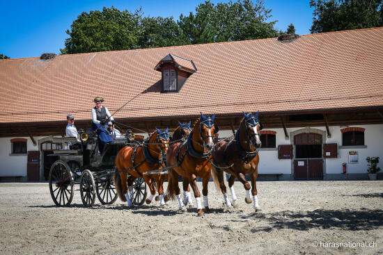 Portes ouvertes au Haras national suisse