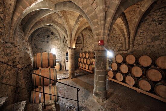 Château de Chillon™