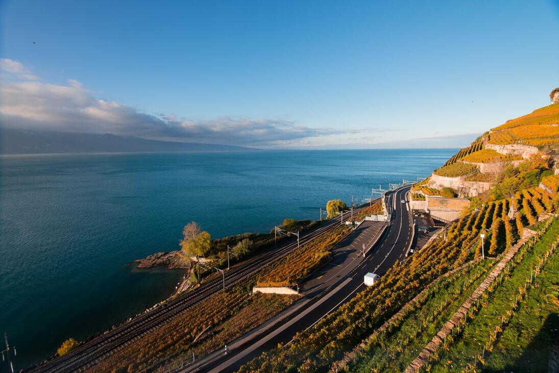 Lavaux Vinorama