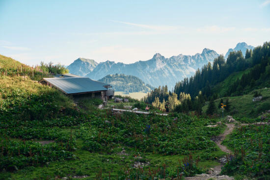 Buvette des Petits Lacs