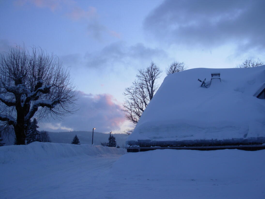 Restaurant Les Rochats