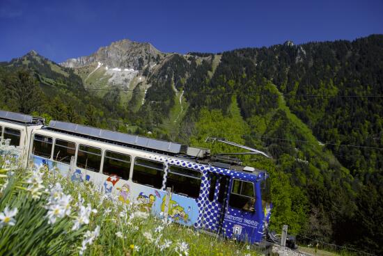 Train Montreux - Rochers-de-Naye
