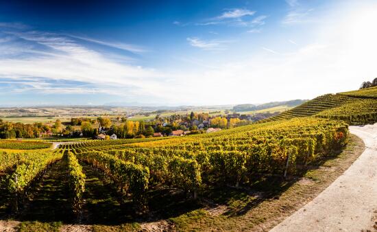Côtes de l'Orbe AOC