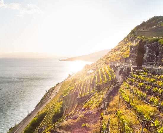 Dézaley Grand Cru AOC