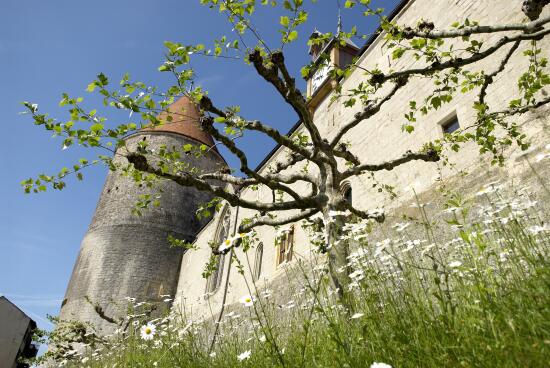 Castle of Yverdon-les-Bains