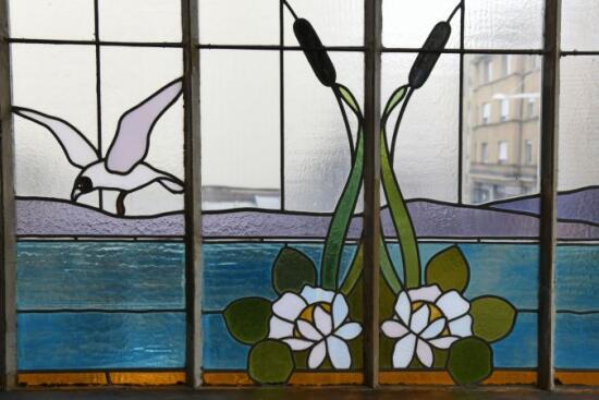 Petite nature ? - Musée du Léman