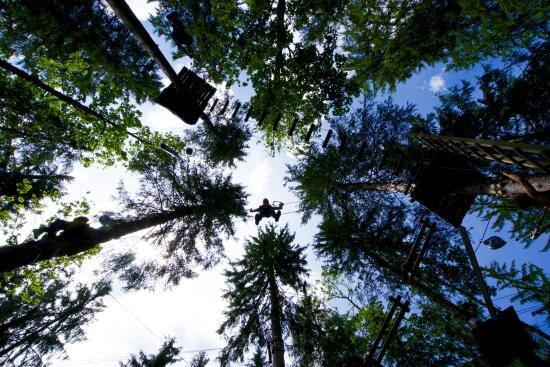 Accrobranches au Parc des Diables aux Diablerets