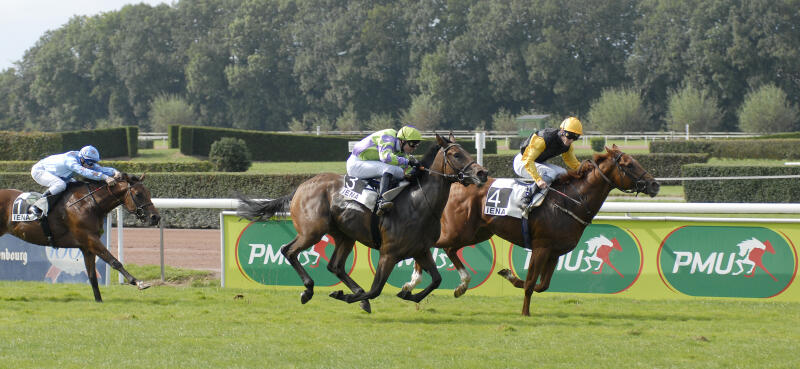 Nationales Reitsportzentrum (IENA)