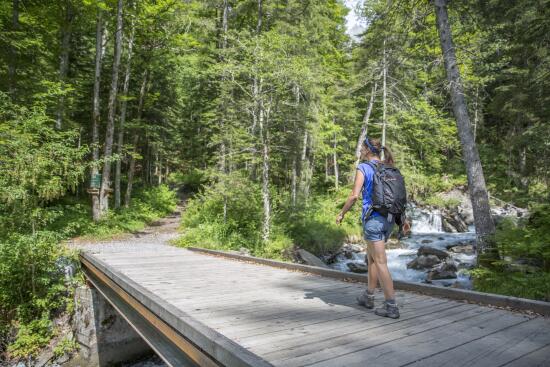 Les gorges de l'Avançon