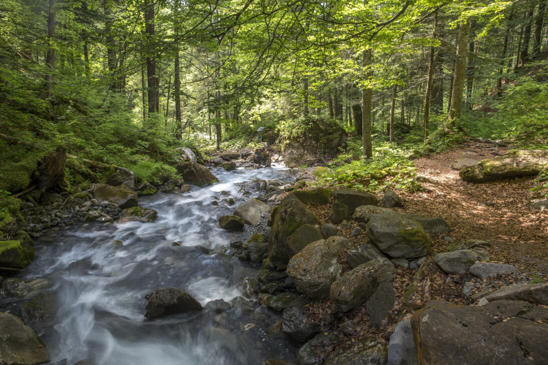 Les gorges de l'Avançon