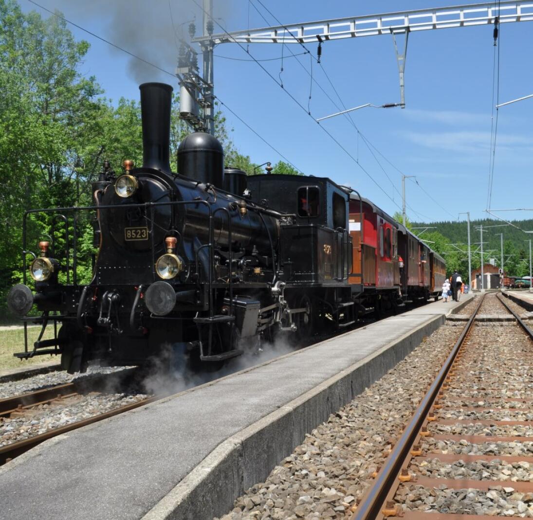 Repas Tartare de boeuf