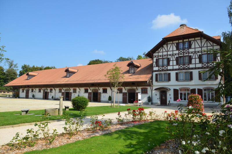 Das Schweizer Nationalgestüt