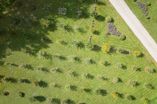 Mathod & Truffe : Visite de la Truffière, cavage et apéritif truffé