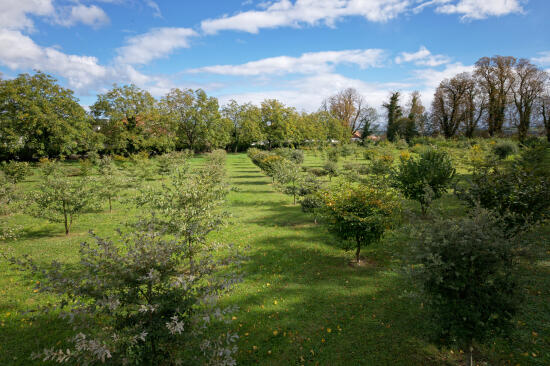 Mathod & Truffe : Visite de la Truffière, cavage et apéritif truffé