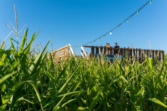 Truffle excavation and truffle cuisine course a la Sauvageraie