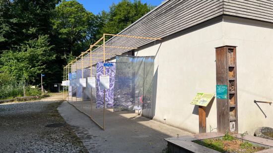 How does a fish walk?