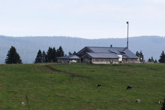 Gruyère d’Alpage AOP - Les Grands Plats de Bise