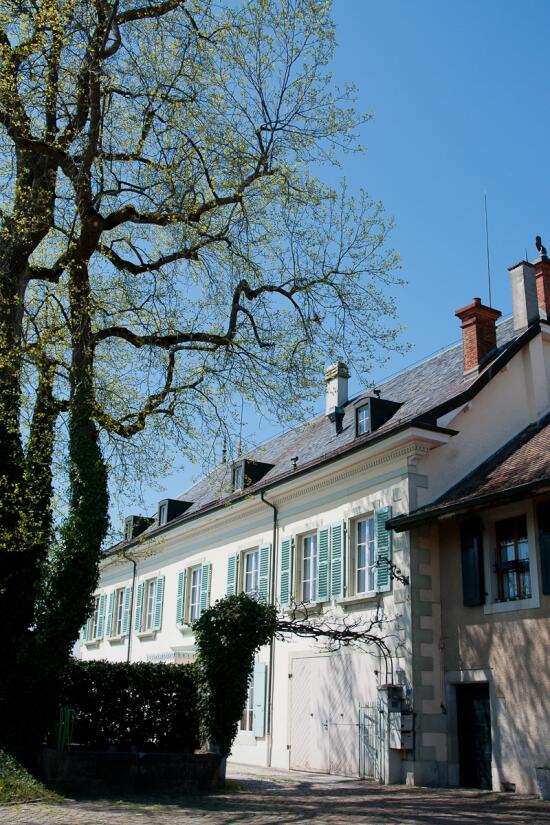 Die Weine aus dem Hause Bolle